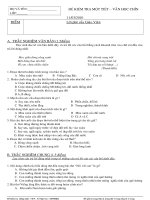 ĐỀ KIỂM TRA VĂN HỌC 9-TUẦN 28