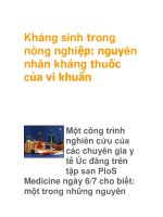 Kháng sinh trong nông nghiệp: nguyên nhân kháng thuốc của vi khuẩn doc