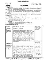 GIÁO ÁN THÊU KHỐI 11