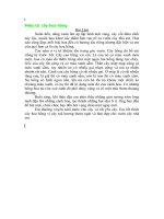 Tả cây hoa hồng