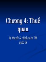 Chương 4: Thuế quan (Lý thuyết & chính sách TM quốc tế) potx