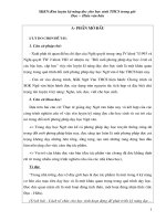 Sáng kiến kinh nghiệm môn văn