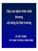 Cấp cứu bệnh nhân chấn thương cột sống tại hiện trường (Phần 1) pdf