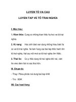 Luyện từ trái nghĩa pdf