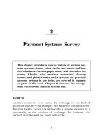 MANAGING THE RISKS OF PAYMENT SYSTEMS CHAPTER 2 pps