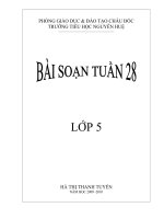 BS theo chuẩn KTKN tuần 28- Khối 5