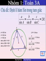 Định lí hàm sin trong tam giácc potx