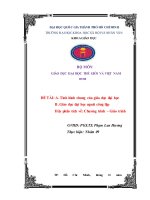 Tiểu luận: Tình hình chung của giáo dục đại học, giáo dục đại học ngoài công lập. Hãy phân tích về: Chương trình – Giáo trình