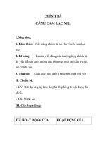 CHÍNH TẢ CÁNH CAM LẠC MẸ ppsx
