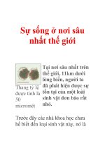 Sự sống ở nơi sâu nhất thế giới ppt