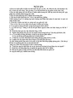 Câu hỏi tự luận lớp 9-ki2