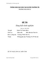 skkn tinh tong day so viet theo quy luat