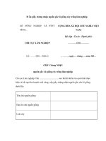 Mẫu giấy chứng nhận nguồn gốc lô giống cây trồng lâm nghiệp pdf