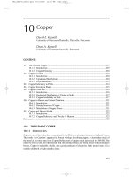 Handbook of Plant Nutrition - chapter 10 pdf