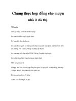 Chứng thực hợp đồng cho mượn nhà ở đô thị. potx