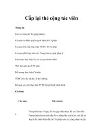 Cấp lại thẻ cộng tác viên docx