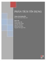 Phân tích báo cáo tài chính Công ty CP bánh kẹo Hải Hà