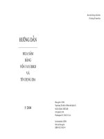 Mua sắm bằng vốn vay IBRD và tín dụng IDA pdf