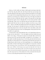 Chế tạo vật liệu tổ hợp chitosan fe3o4  Al(OH)3 cấu trúc nano và ứng dụng hấp phụ kim loại nặng (pb, cd, co, cu, ni) trong bảo vệ môi trường