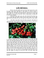 Tiểu luận Phân tích thực phẩm: Quả vải tươi