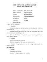 GDÂN: ĐÀN GÀ TRONG SÂN