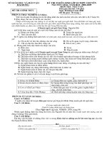 ĐỀ THI VAO 10 MÔN VĂN