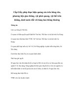 Cấp Giấy phép thực hiện quảng cáo trên băng rôn, phương tiện giao thông, vật phát quang, vật thể trên không, dưới nước đối với hàng hoá thông thường ppt