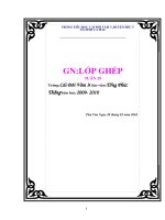 GA LOP GHEP 3+4  Tuan 29 CKTKN