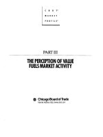 A Six part study guide to Market profile Part 3 pdf