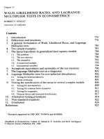 Handbook of Econometrics Vols1-5 _ Chapter 13 potx