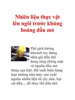 Nhiên liệu thực vật lên ngôi trước khủng hoảng dầu mỏ potx