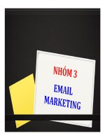 Thuyết trình: Email Marketing
