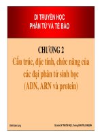 Chương 2: Cấu trúc, đặc tính, chức năng của các đại phân tử sinh học (ADN, ARN và protein) docx