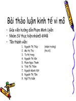 Bài tiểu luận kinh tế vi mô 