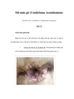 Sùi mào gà (Condyloma Acuminatum) (Genital warts, Condyloma, Condylomata acuminata) (Kỳ 2) pptx