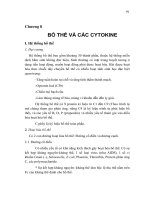 Giáo trình Miễn dịch học thú y - Chương 8 docx