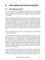 Small-scale freshwater fish farming - Chapter 9 pptx