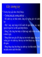 Kỹ Thuật Cố Định Tạm Thời Xương Gãy (Phần 4) ppt