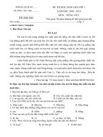 Đề kháo sát HSG lớp 3