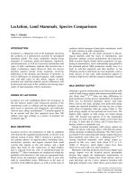 Encyclopedia Of Animal Science - L pdf