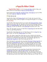 Gian hùng thời loạn Nguyễn Hữu Chỉnh