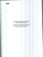 ngân hàng thương mại cổ phần việt nam thịnh vượng báo cáo tài chính hợp nhất giữa niên độ cho giai đoạn từ ngày 1 tháng 1 năm 2013 đến ngày 30 tháng 6 năm 2013