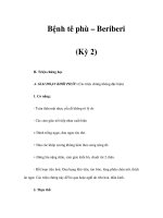 Bệnh tê phù – Beriberi (Kỳ 2) docx