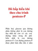 Hô hấp hiếu khí theo chu trình pentozo-P pptx