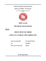 PHÂN TÍCH TÀI CHÍNH CÔNG TY CỔ PHẦN VIỄN THÔNG FPT