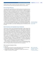 Spinal Disorders: Fundamentals of Diagnosis and Treatment Part 43 pptx