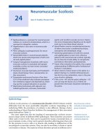 Spinal Disorders: Fundamentals of Diagnosis and Treatment Part 68 ppsx