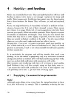 Goat keeping in the tropics - Part 4 pdf