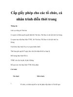 Cấp giấy phép cho các tổ chức, cá nhân trình diễn thời trang ppsx