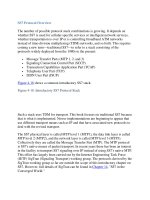 Signaling System No.7 Protocol Architecture And Sevices part 10 pot